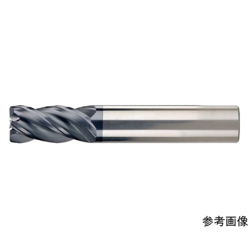 �S���n�@�s���������p���W�A�X�G���h�~��