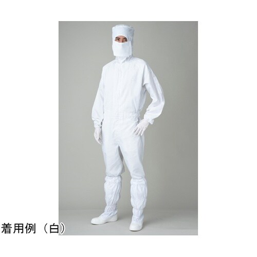 クリーンウェア サックス