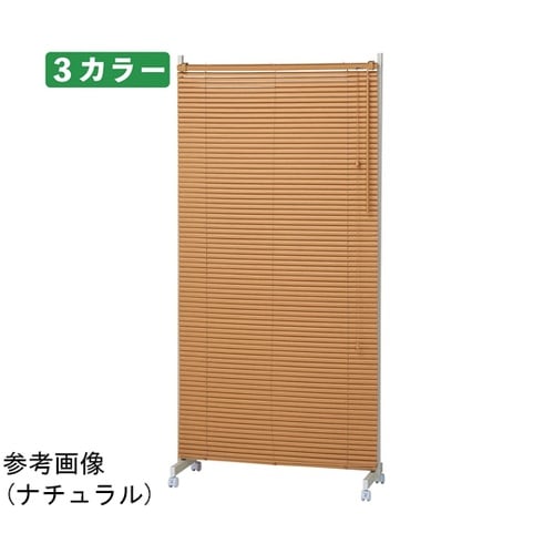 �L���X�^�[�t���u���C���h�p�[�e�B�V����