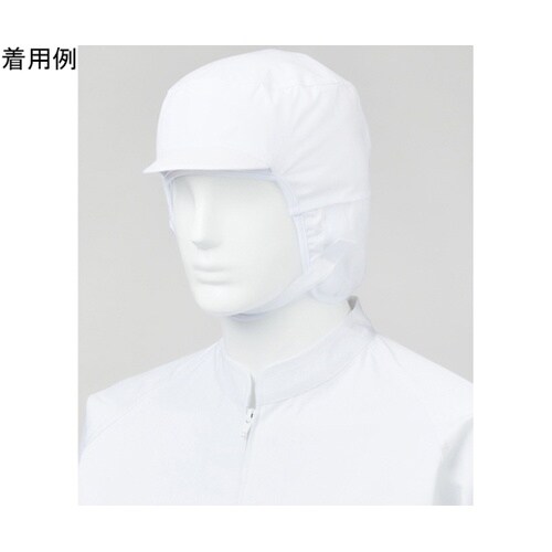 �����������炢�Z�~�t�[�h�L���b�v