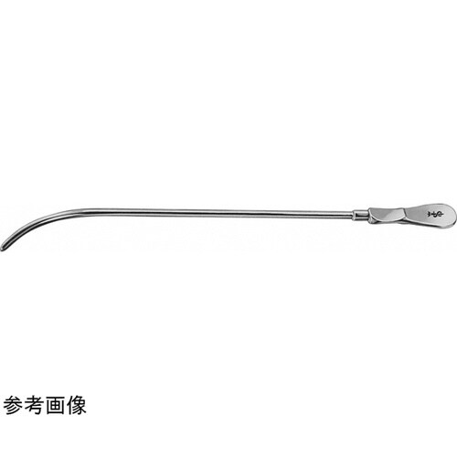 �A���u�[�W�[�@�W�b�e��