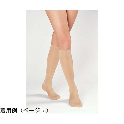 �e���X�g�b�L���O