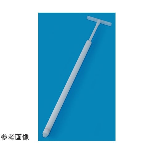 �o�o�f�B�X�|�r�X�R�T���v���[�@��ŋ�