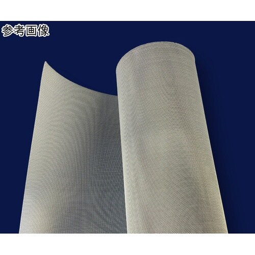 �X�e�����X����