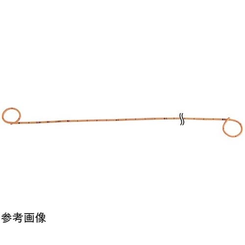 ���E���X�e���g�V�X�e��