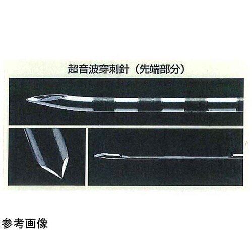 �����g���h�j