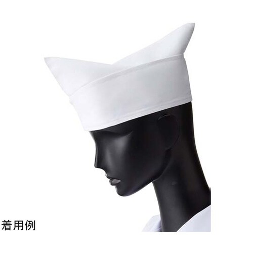 �R�b�N�@�a�X�q