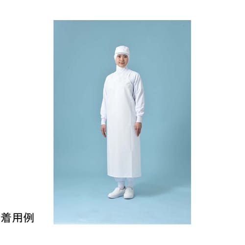 �u�J�[���C�@�G�v����