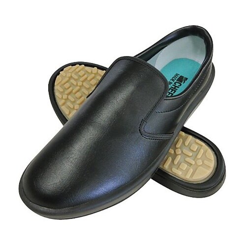 �V�F�t���C�g