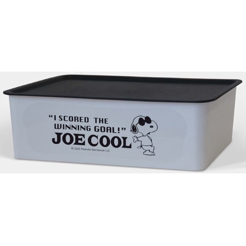 �X�k�[�s�[�R���N�g�{�b�N�X