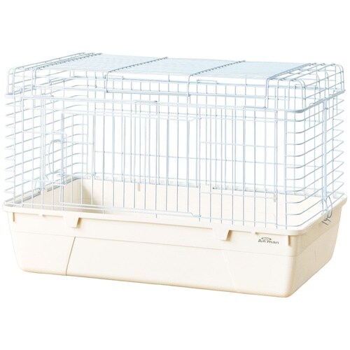 ���r�b�g���났���[��