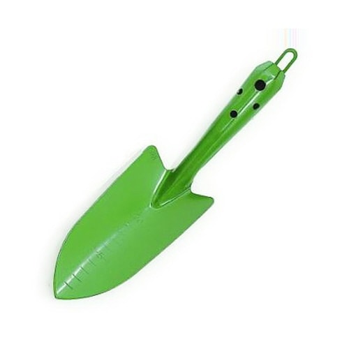 ���T�O�O�����ڐA�S�e