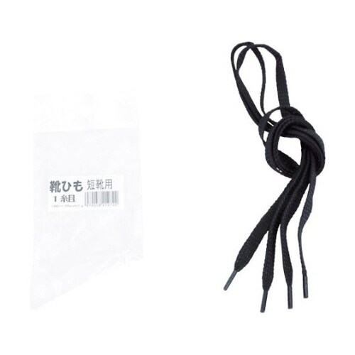 ���S�C�p�R