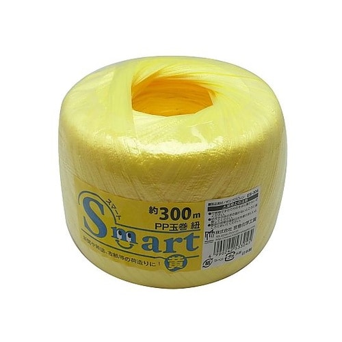 �X�}�[�g�ʊ��R