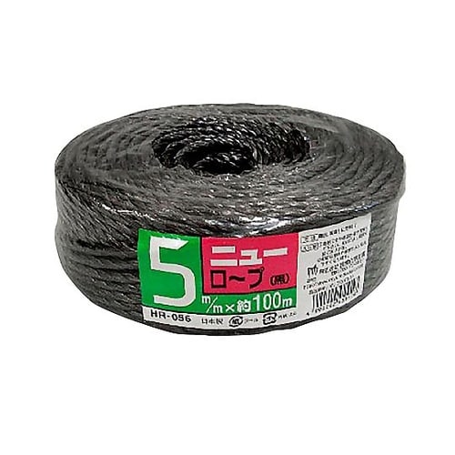 �j���[���[�v