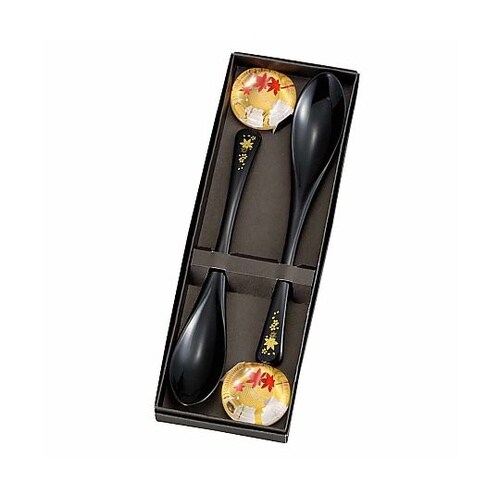 �X�v�[�����X�g