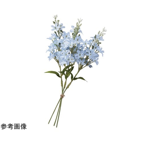 �}���[���C���b�N���ԃs�b�N