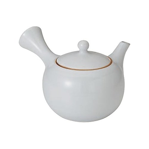 �J���[�ی^�}�{