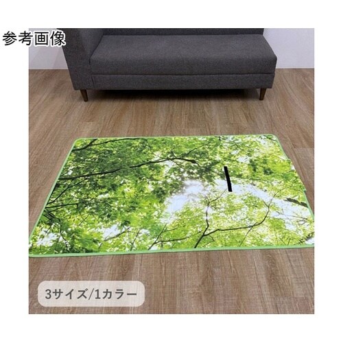 �~���@���O�E�J�[�y�b�g�@�w�t�H���X�g�x