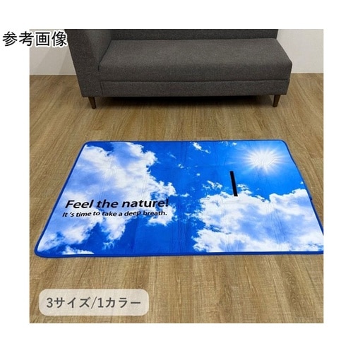 �~���@���O�E�J�[�y�b�g�@�u���[�X�J�C