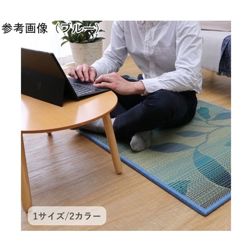 �~���@���O�E�J�[�y�b�g�E��@�w�O���[�X�x