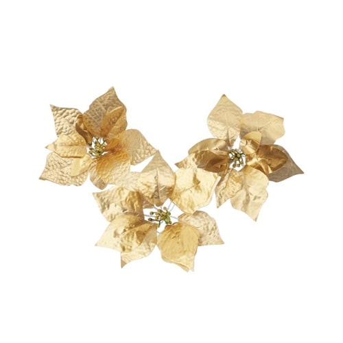 �|�C���Z�`�A�I�[�i�����g