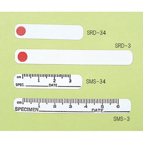 �t�H�g�O���t�B�[���x��