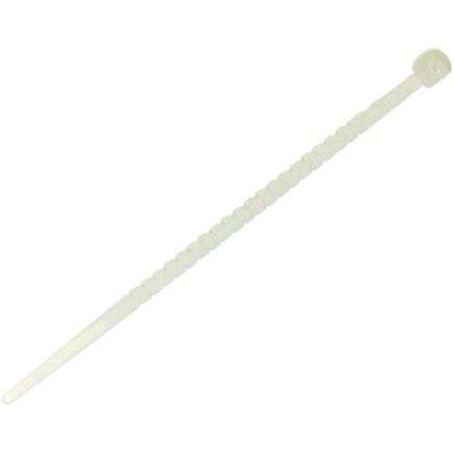 �˂�����o���h