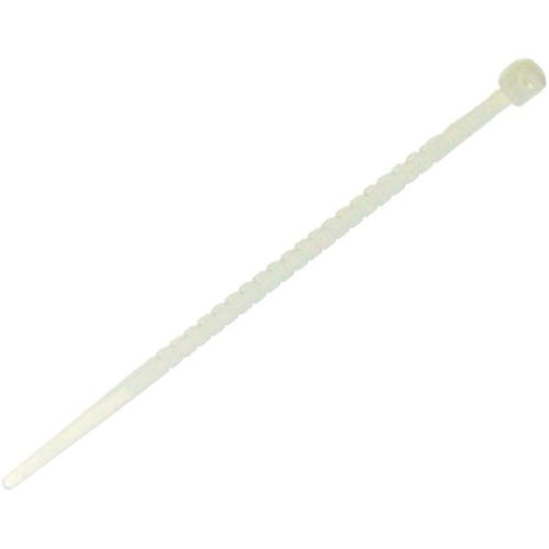 �˂�����o���h