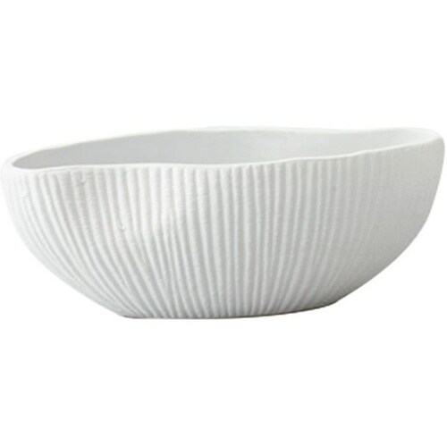 �����������i�v���[�W���j�z���C�g