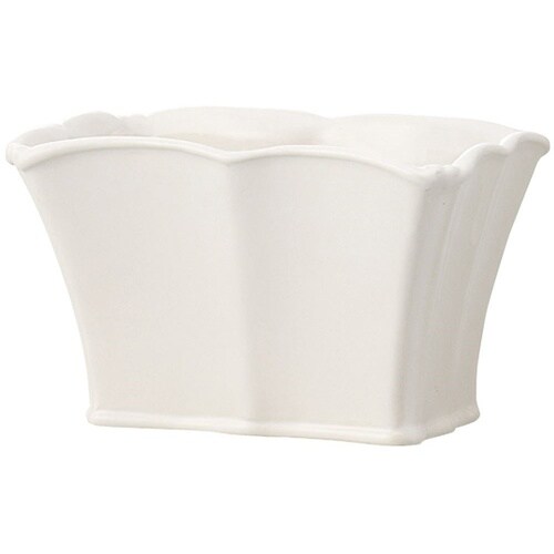 ���������@�u�`�r�d�i�t�F�~�@�x�[�X�j�z���C�g