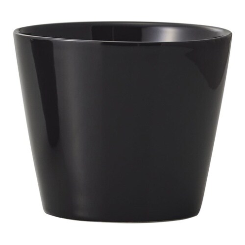 �J���[�x�[�X