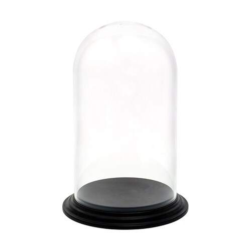 �o�b�@���������i�o�b�h�[���j�N���A