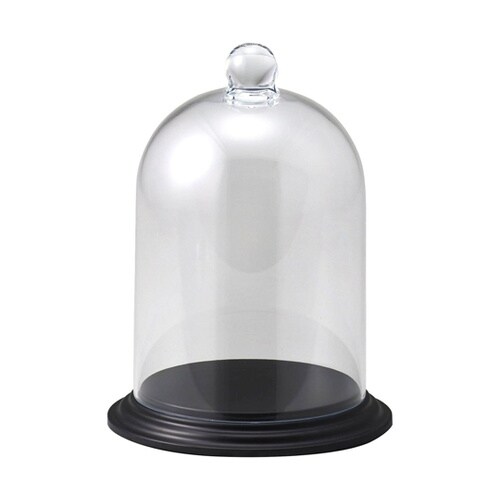 �o�b�N���b�V��