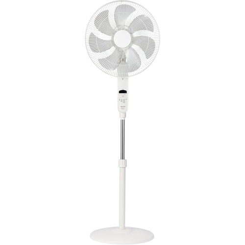 �����R���t���t���A�[��@