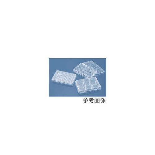 マイクロプレート