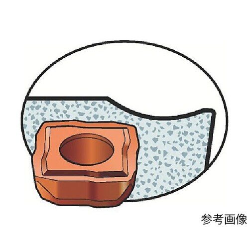 �R���h�����W�W�P�p�`�b�v