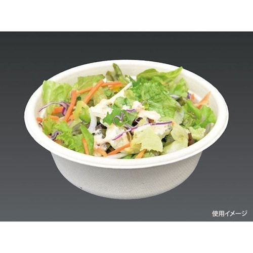 BB竹バガスボウル