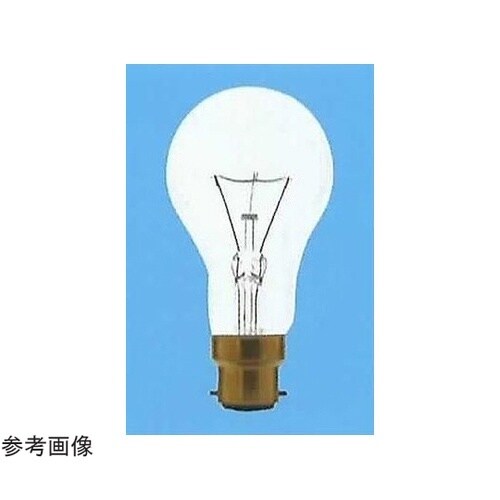 海外球 B22D