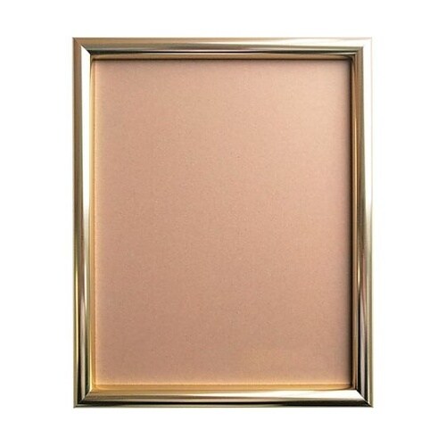 デッサン額 IC ゴールド 屋内用