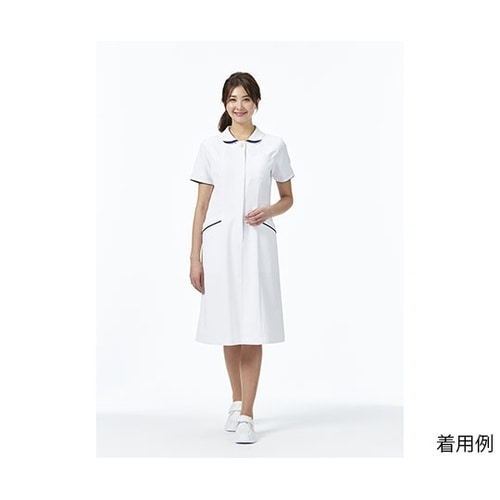 �n�o�|�R�O�T�P�@�����s�[�X�@���~��