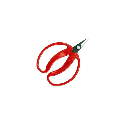 SQO@݂̎@@ܓ