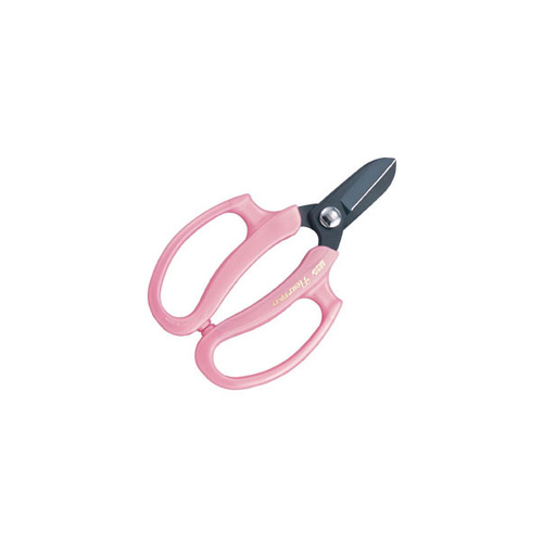 eo|PV|o@ƖpԂ͂݃t[@sN