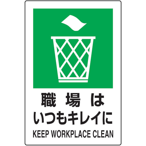QPihrKiSWE͂LC