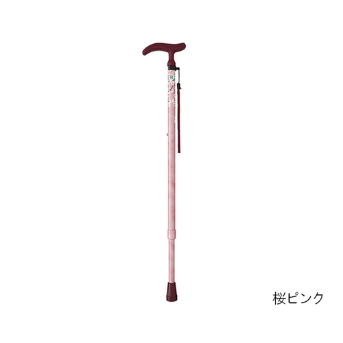 ANeBuO[XiLkj@p[v