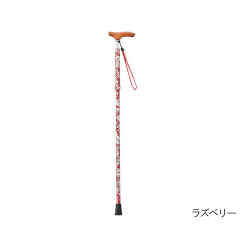 ^CglbNXebL@܂肽݃^Cv@GW