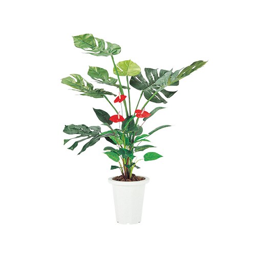 人工観葉植物 モンステラ アンスリューム カウネット