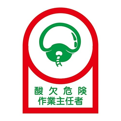 wbgpXebJ[u_댯ƎCҁv