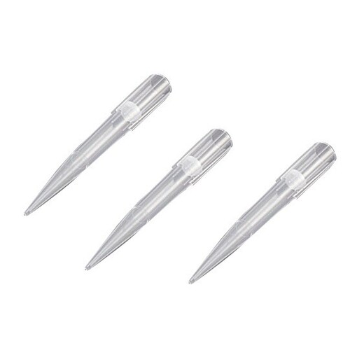 rITN`bvitB^[tj@POOOʂk