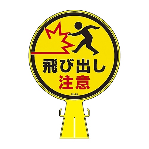 R[wbhWiXebJ[̂݁j@bg|QRr